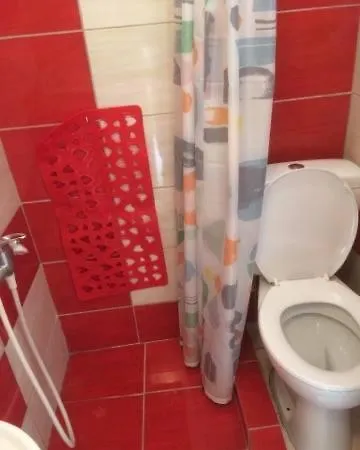 奥尔费斯旅馆 4* 瓦西利基